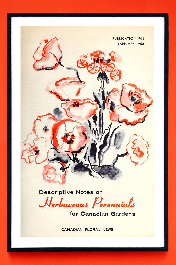 HERBACEOUS PERENNIALS 1956