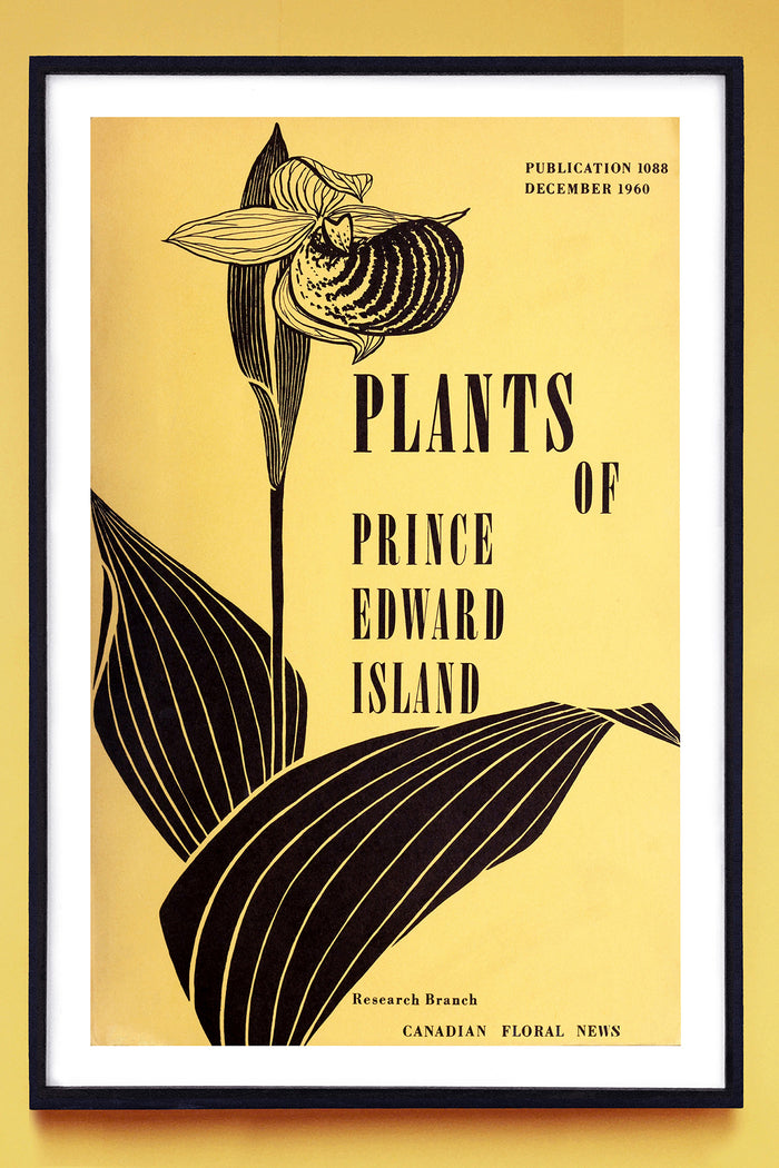 PLANTES DE L'ÎLE-DU-PRINCE-ÉDOUARD 1960